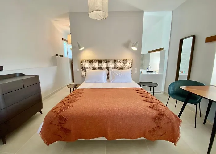 La Maison Des Vendangeurs - Table D'hotes Le Soir Du Jeudi Au Dimanche- Jacuzzi - Balneo - Acces Piscine Pour Toutes Les Sauf Coquet- Piscine De Mai A Mi-octobre 4* Martignargues